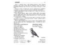 Демонстрационные картинки СУПЕР. Перелетные птицы (16 шт.) в папке