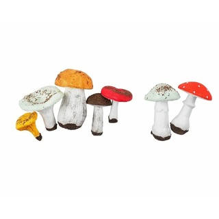 Набор муляжей грибов съедобных и ядовитых