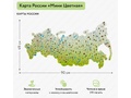 Карта России мини цветная для детских садов (49х90 см)